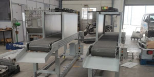 Chain Conveyor